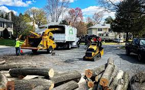 Lawn Grading and Leveling in Middlebury, IN